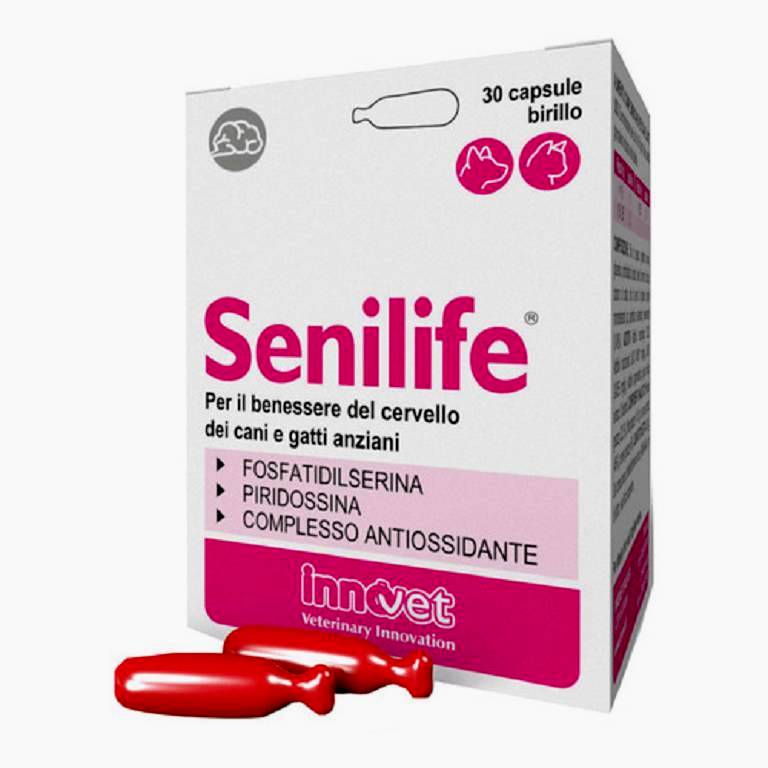 Senilife Plus Capsule