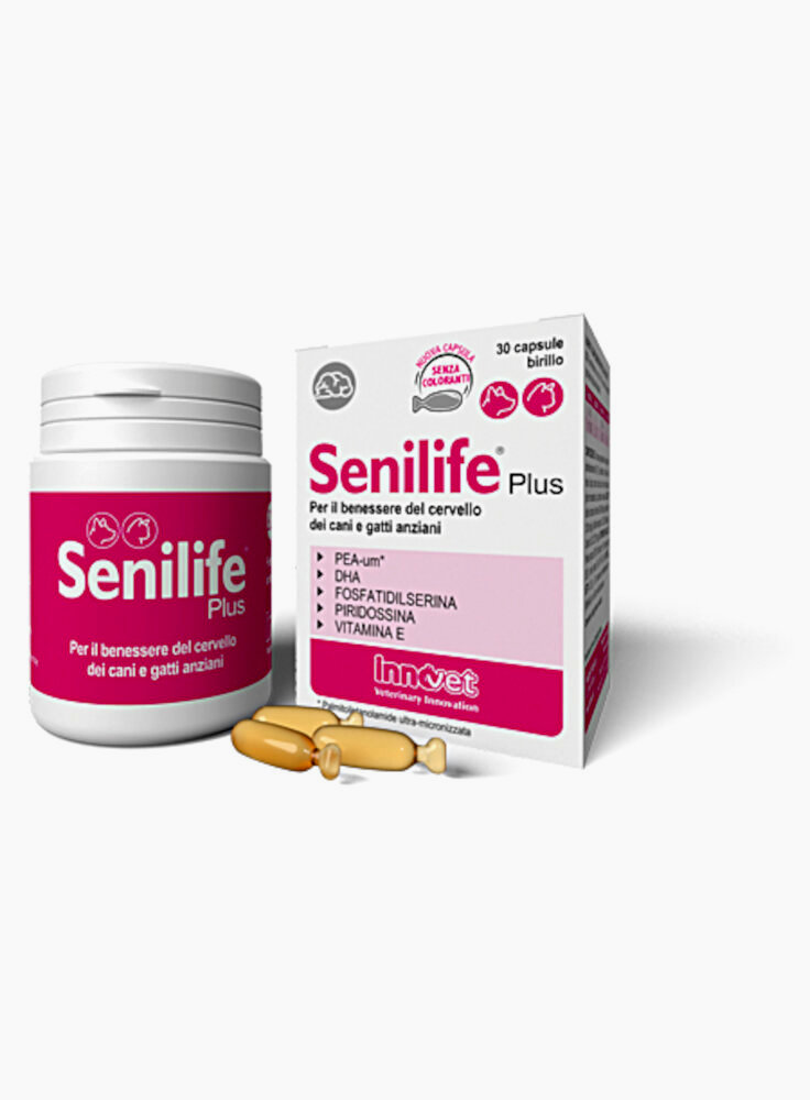 senilife_plus