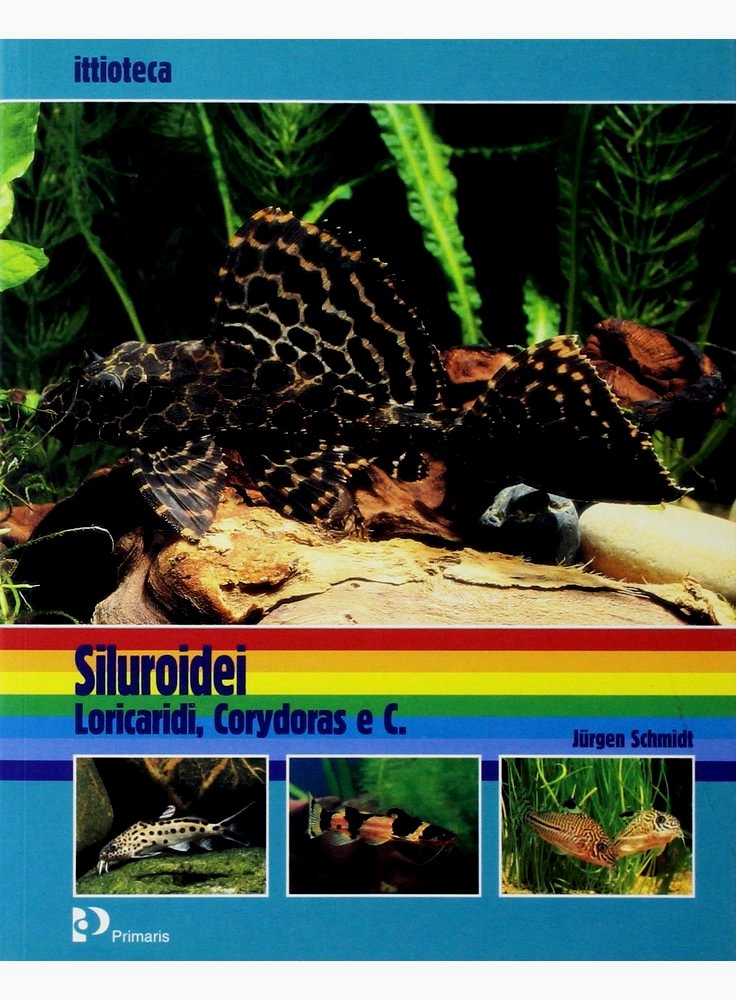 Libro Siluroidei Loricaridi e corydoras