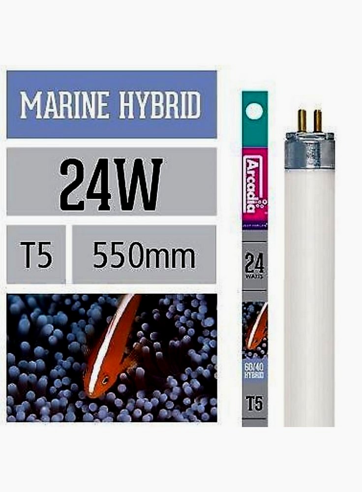 t5Hybrid_24W