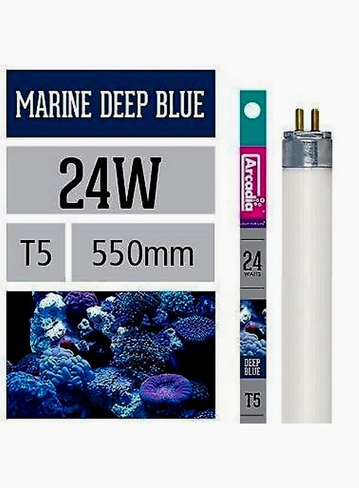 Arcadia Neon Marine Blue attinico T5 luce per acquario marino esalta i coralli