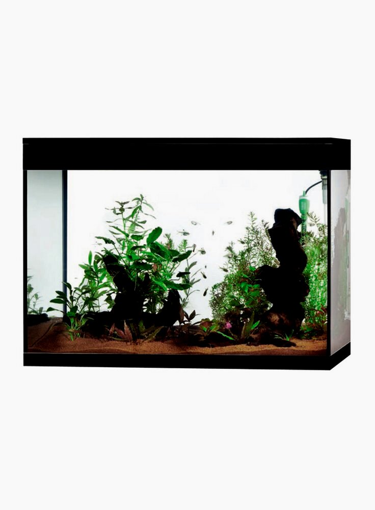 VASCA RICAMBIO ACQUARIO ASKOLL PURE BLACK XL HIGH CUBE