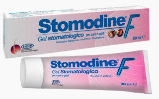 STOMODINE F 30 ML