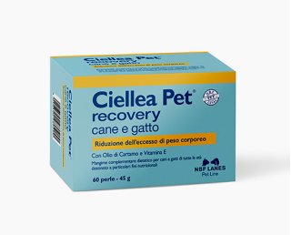 Ciellea PET RECOVERY  - cane e gatto