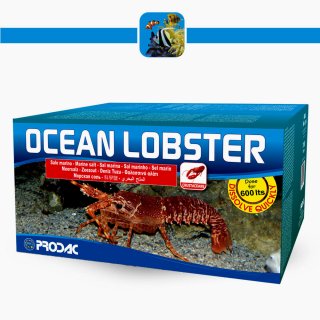 Prodac Ocea Lobster Sale Marino Perfetto per Aragoste Crostacei STER 600 lt