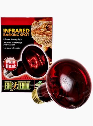 Lampada riscaldante heat glo a infrarossi R30/150W