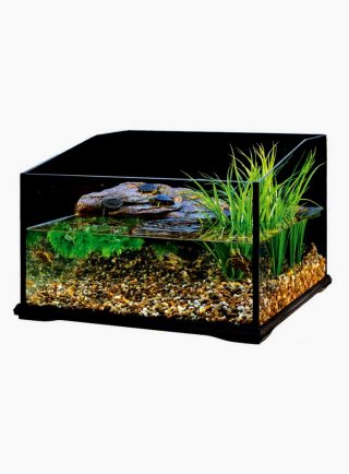 Tartarughiera exoterra turtle terrarium