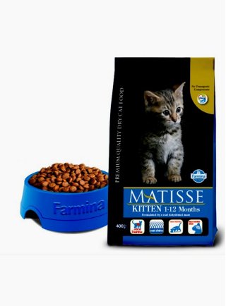 MATISSE KITTEN KG.1,5