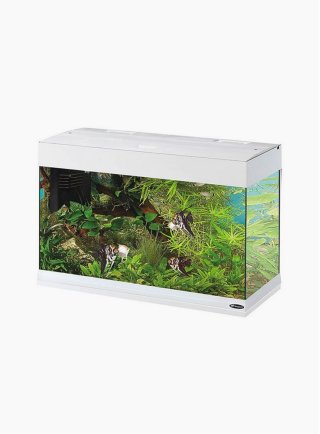 Acquario Dubai 80 Led 125 litri Misure 81x36x51h + allestimento dolce