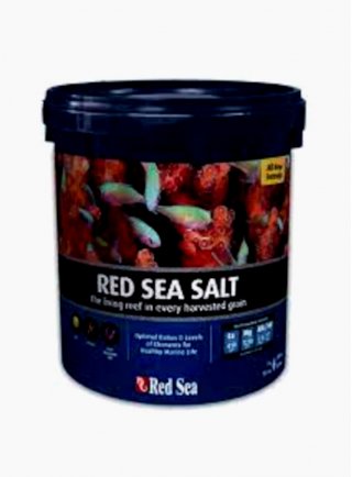 Sale Red Sea