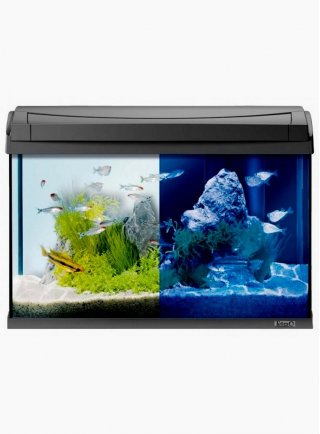 Acquario Tetra Aqua art led 60