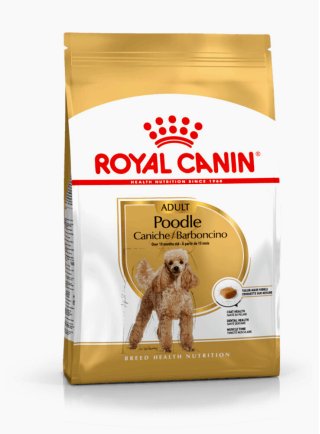 Barboncino Poodle  Royal Canin 1,5 Kg