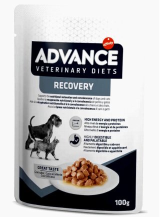 ADVANCE VETERINARY DOG&CAT RECOVERY 100gr