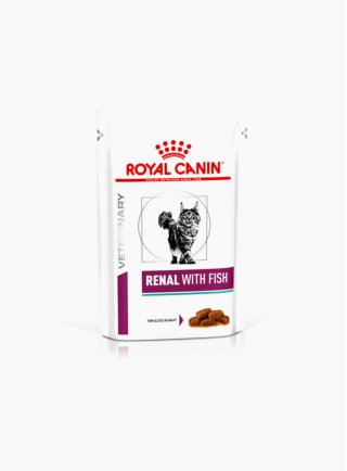 Renal fish buste umido gatto Royal Canin 12x85 gr