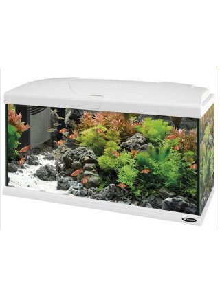 Acquario capri bianco led 50 60 80 completo di allestimento