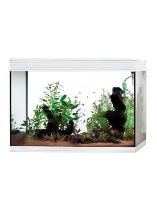 Acquario Askoll Pure XL High Cube LED