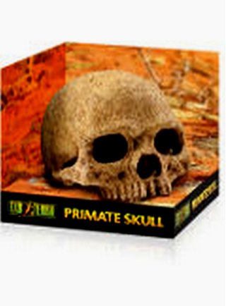 RIfugio per rettili Primate Skull Small