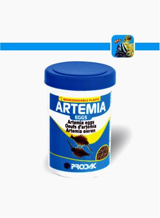 ARTEMIA EGGS 454 gr