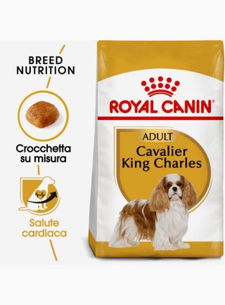 Cavalier King Charles Royal Canin 3 kg