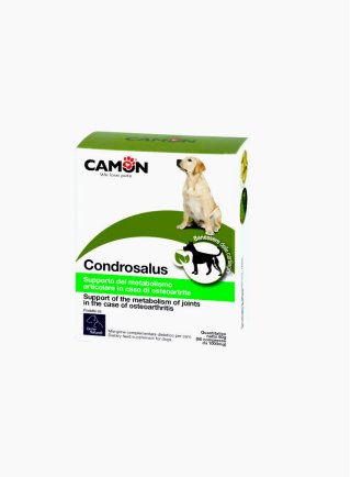 Camon Condrosalus rinforza e protegge la cartillagine 60cpr