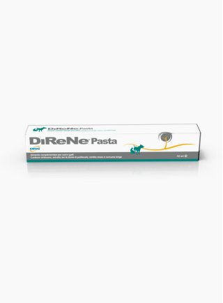 DIRENE PASTA 15ML