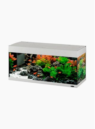 Acquario Dubai 100 led bianco nero