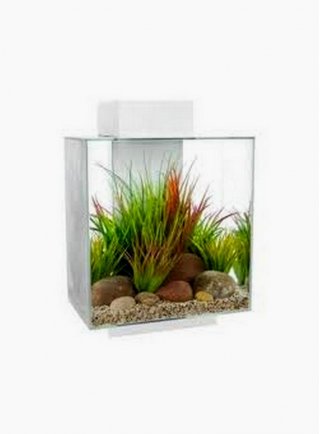 Design acquario edge maxi 46litri bianco