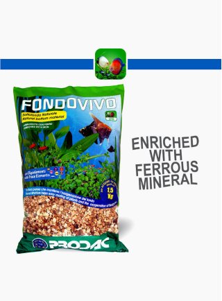 FONDOVIVO  10,5 lt