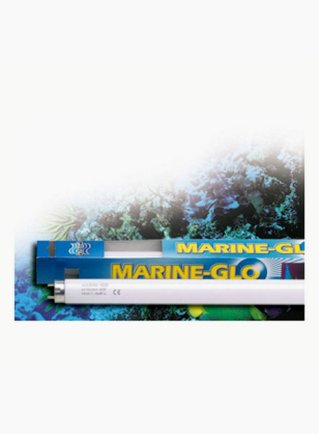 LAMPADA MARINE-GLO 15 W