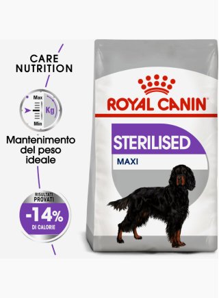 Maxi sterilised cane Royal canin