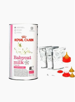 First Age Babycat Milk gatto Royal Canin 300 gr