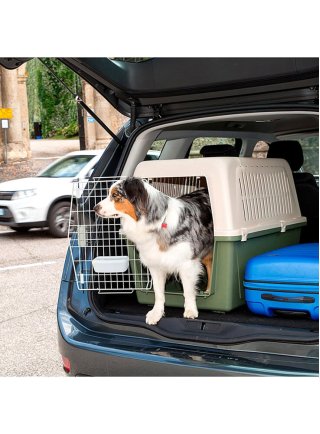 Trasportino auto per cani Ferplast ATLAS 50 - 60 CLASSIC