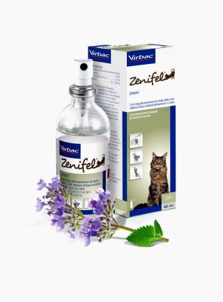 ZENIFEL SPRAY 60 ML